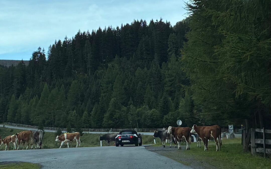 Herbst Ausfahrt 2025
